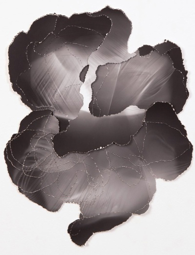 Artist Image