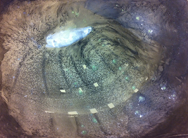 Artist Image